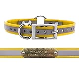 Algopix Similar Product 2 - Outdoor Dog Supplys 34 Wide