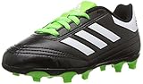 Algopix Similar Product 19 - adidas Performance Kids Goletto VI FG