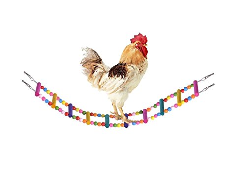 Algopix Similar Product 4 - BWOGUE Wooden Chicken Flexible