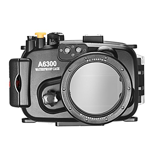 Algopix Similar Product 8 - 