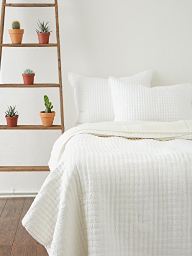 Algopix Similar Product 8 - BeYoutiful Home Kathelina Quilt Twin