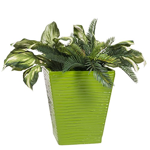 Algopix Similar Product 16 - 
