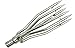 Algopix Similar Product 15 - Innovative Scuba Concepts PX0361
