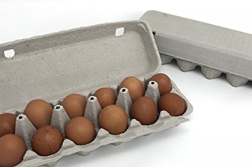 Algopix Similar Product 5 - Pulp Egg Cartons Blank Flattop Style