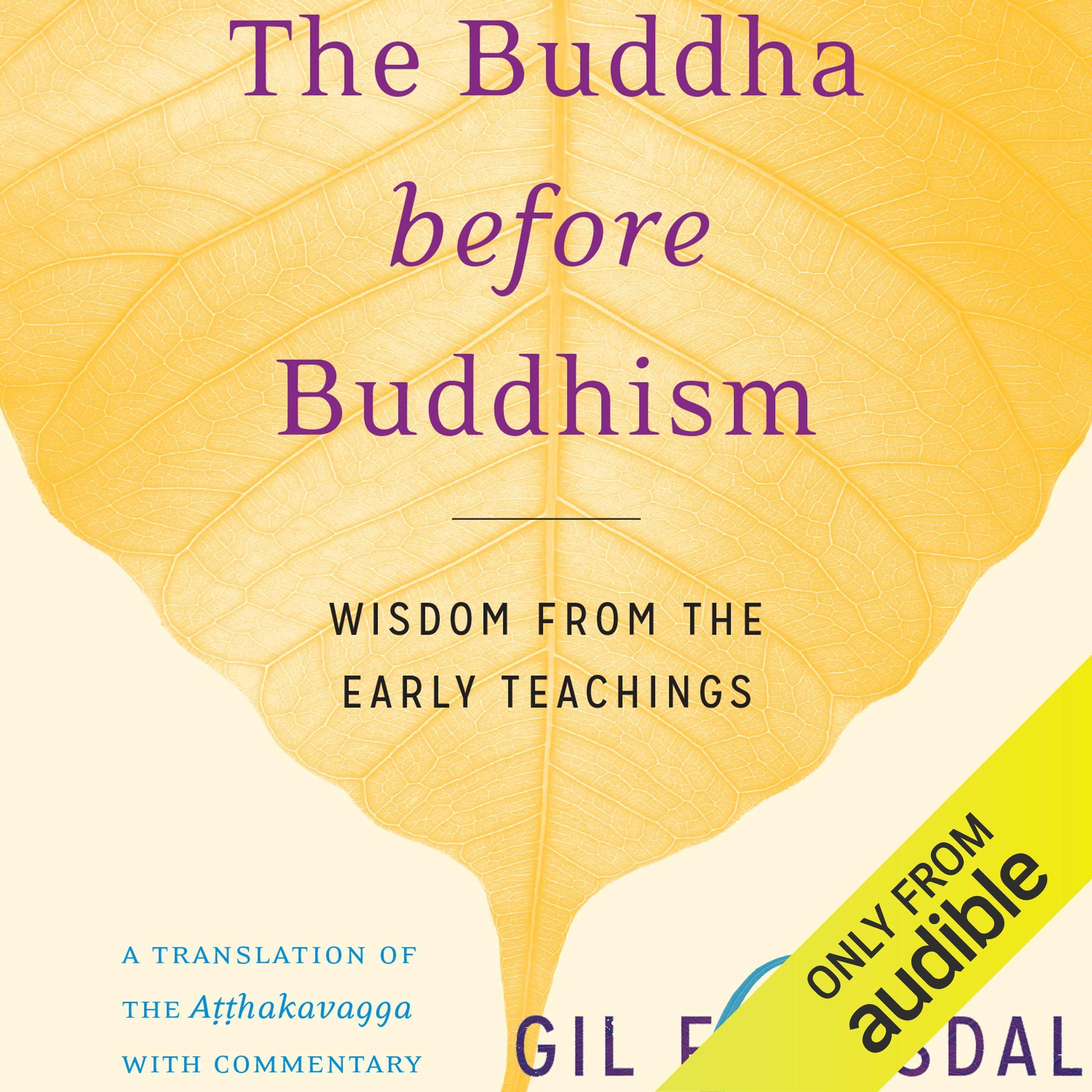 Algopix Similar Product 19 - The Buddha Before Buddhism Wisdom from
