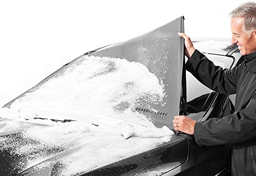 Algopix Similar Product 16 - SHARPER IMAGE Frost Free Windshield