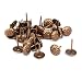 Algopix Similar Product 10 - uxcell 716 Inch Dia Daisy Drawing Pin