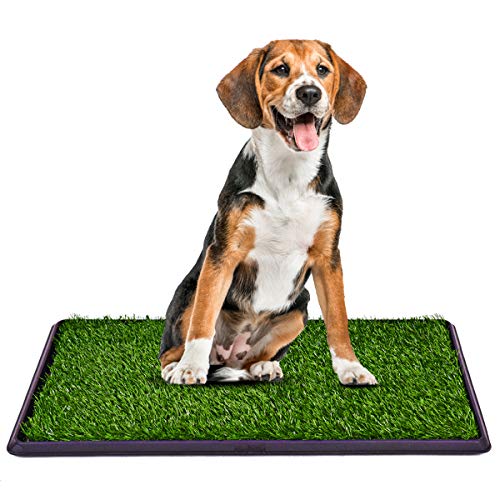 Algopix Similar Product 20 - Giantex 30x20 Puppy Pet Potty Grass