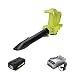 Algopix Similar Product 9 - Sun Joe IONBVXR 40V VariableSpeed
