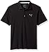 Algopix Similar Product 5 - PUMA Golf 2017 Boys Pounce Polo