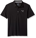 Algopix Similar Product 4 - PUMA Golf 2017 Boys Pounce Polo