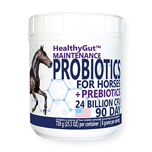 Algopix Similar Product 6 - Equa Holistics HealthyGut Probiotics
