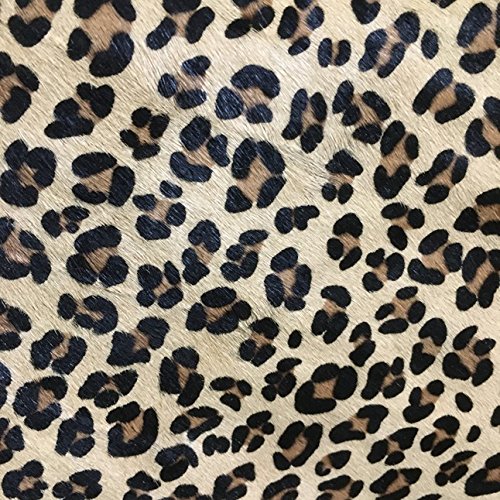 Algopix Similar Product 5 - Frogjelly Exotic Print HairOn Craft