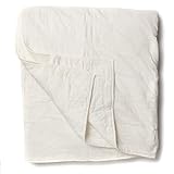 Algopix Similar Product 13 - BeYoutiful Home Ivory Ash Quilt