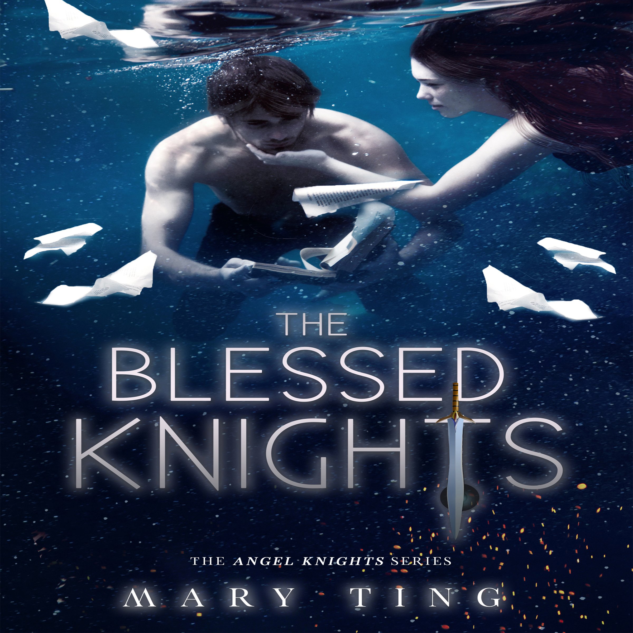 Algopix Similar Product 6 - The Blessed Knights