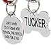 Algopix Similar Product 13 - GoTags Pet ID Personalized Dog and Cat