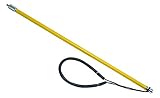 Algopix Similar Product 11 - Innovative Scuba Concepts Pole Spear