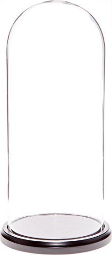 Algopix Similar Product 11 - Plymor 55 x 13 Glass Display Dome
