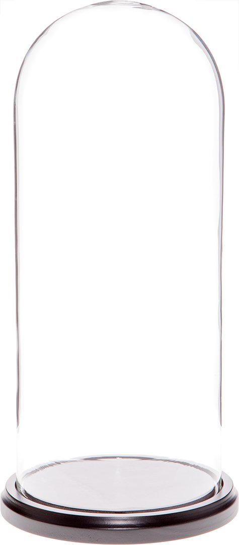 Algopix Similar Product 14 - Plymor 55 x 13 Glass Display Dome