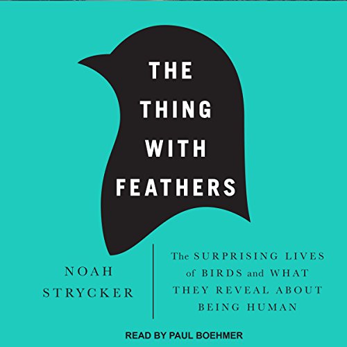Algopix Similar Product 7 - The Thing with Feathers The Surprising