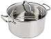 Algopix Similar Product 14 - Tfal Performa Stainless Steel Stockpot