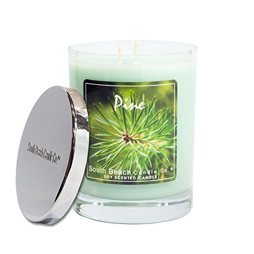 Algopix Similar Product 5 - South Beach Candle Company Pine Soy