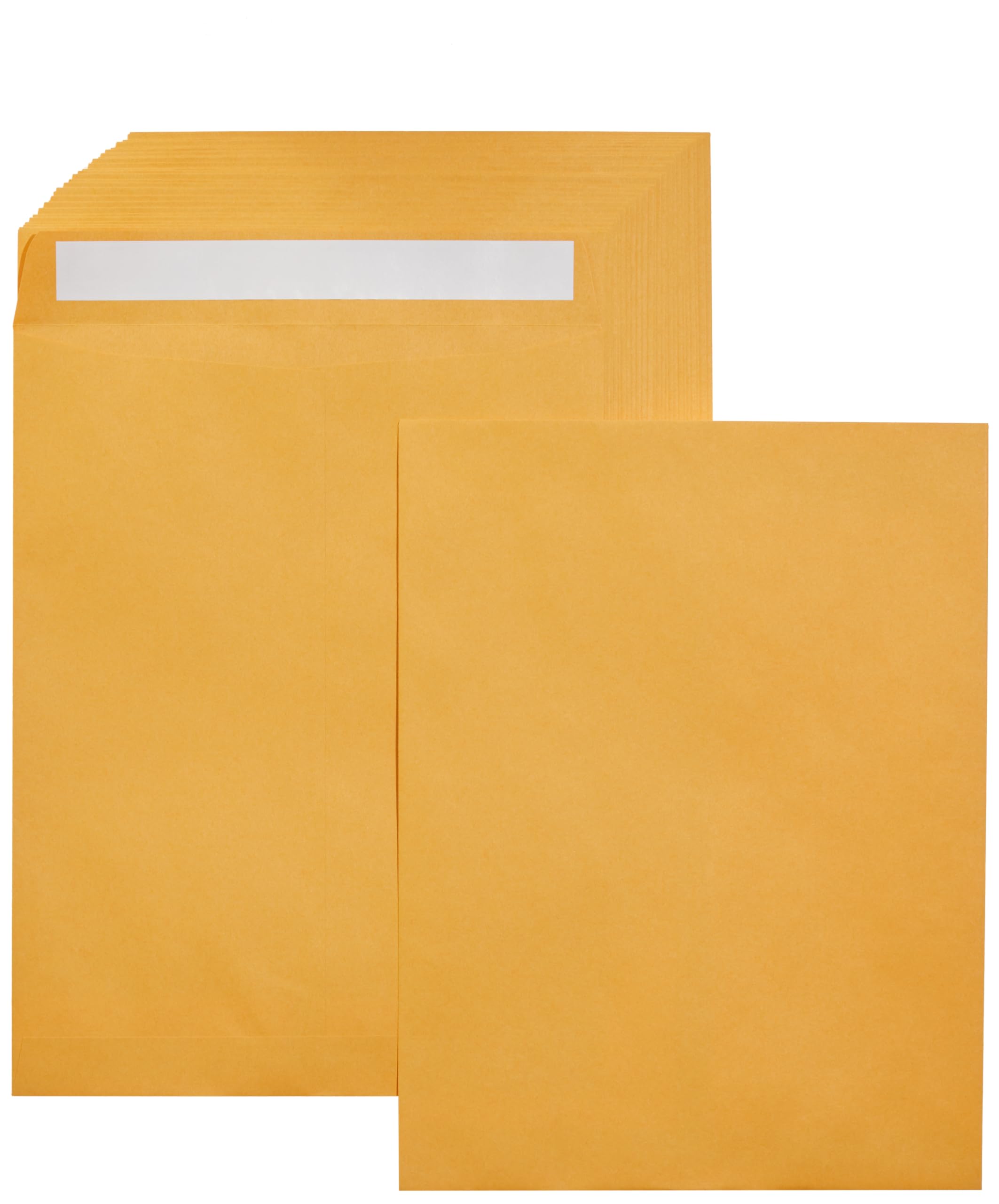 Algopix Similar Product 4 - Amazon Basics Catalog Mailing