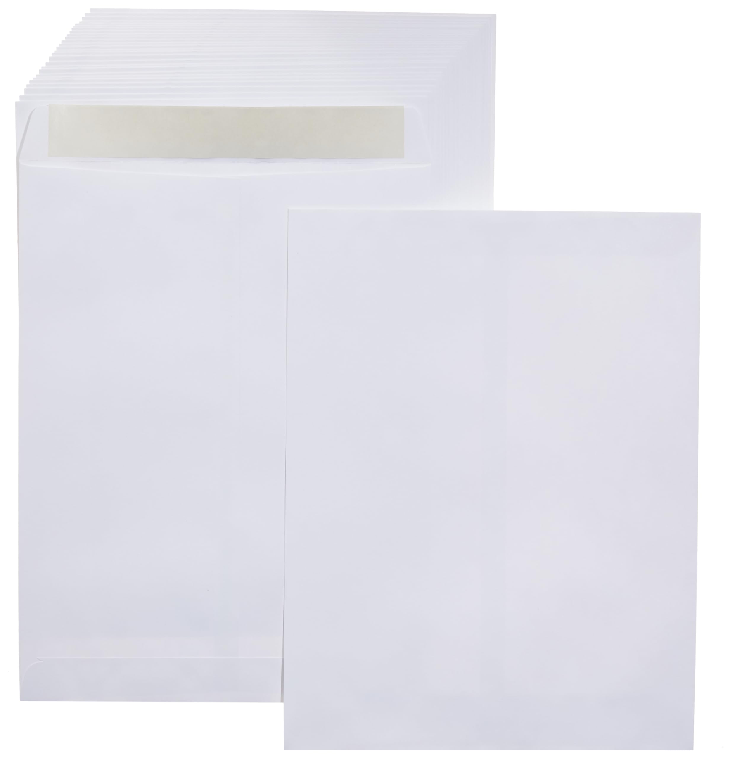 Algopix Similar Product 16 - Amazon Basics Catalog Mailing
