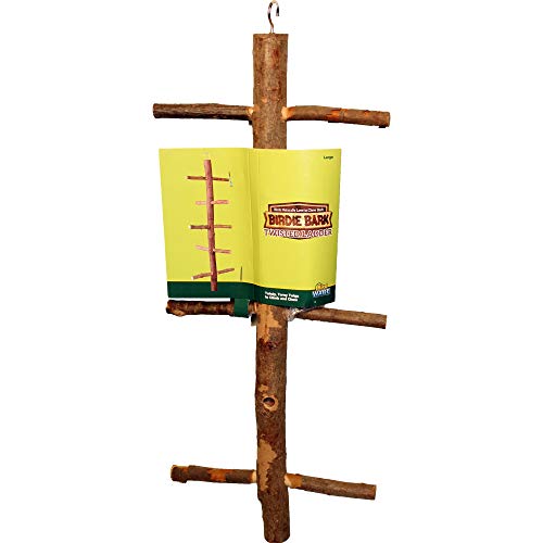Algopix Similar Product 9 - Ware Manufacturing Twisted Ladder Lg.