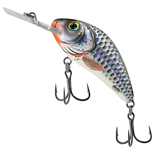 Algopix Similar Product 15 - Salmo RattlinHornet  H45F Silver