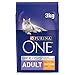 Algopix Similar Product 2 - Purina ONE Coat and Hairball Dry Cat