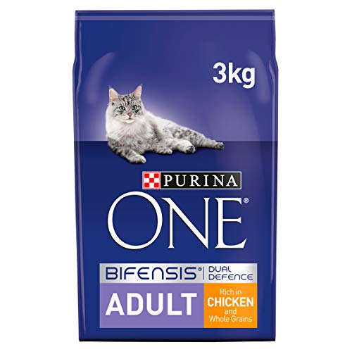 Algopix Similar Product 16 - Purina ONE Coat and Hairball Dry Cat