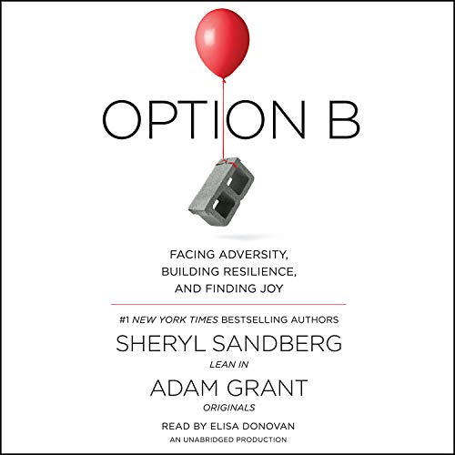 Algopix Similar Product 19 - Option B Facing Adversity Building