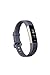 Algopix Similar Product 10 - Fitbit Alta HR BlueGray Small US
