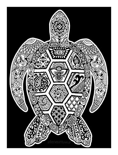 Algopix Similar Product 4 - Colorvelvet Turtle Large Size Picture