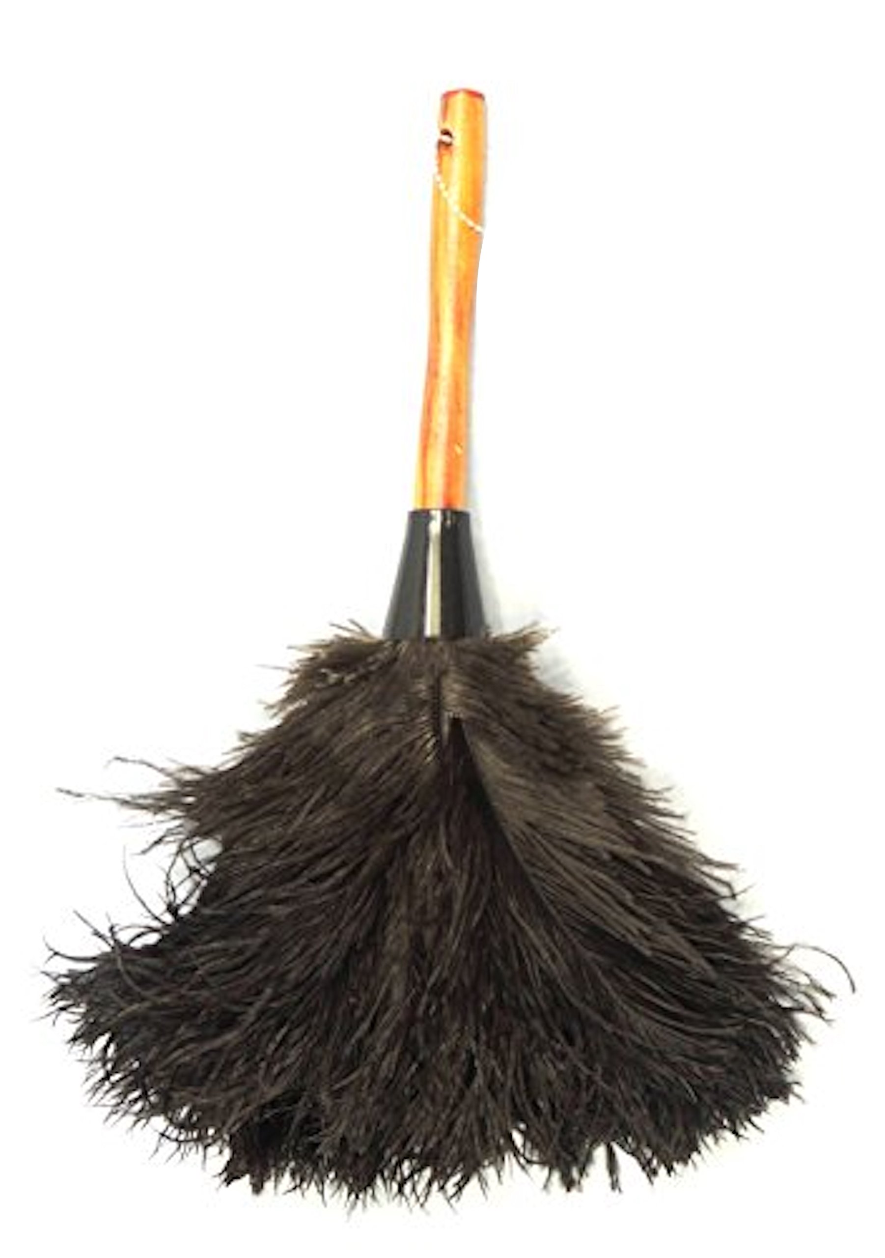Algopix Similar Product 6 - GM Ostrich Feather Duster Mini Duster