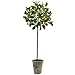 Algopix Similar Product 16 - Nearly Natural 38in. Potted Orange Tree