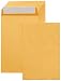 Algopix Similar Product 4 - Amazon Basics Self Adhesive Catalog