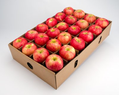 Algopix Similar Product 10 - Organic Honeycrisp Apple by FruitShare