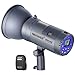 Algopix Similar Product 9 - Neewer Vision 4 300W Outdoor Studio