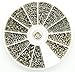 Algopix Similar Product 9 - PROtastic 600Pc Stainless Steel Screws