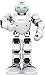 Algopix Similar Product 15 - Alpha 1 Pro , Humanoid Robot