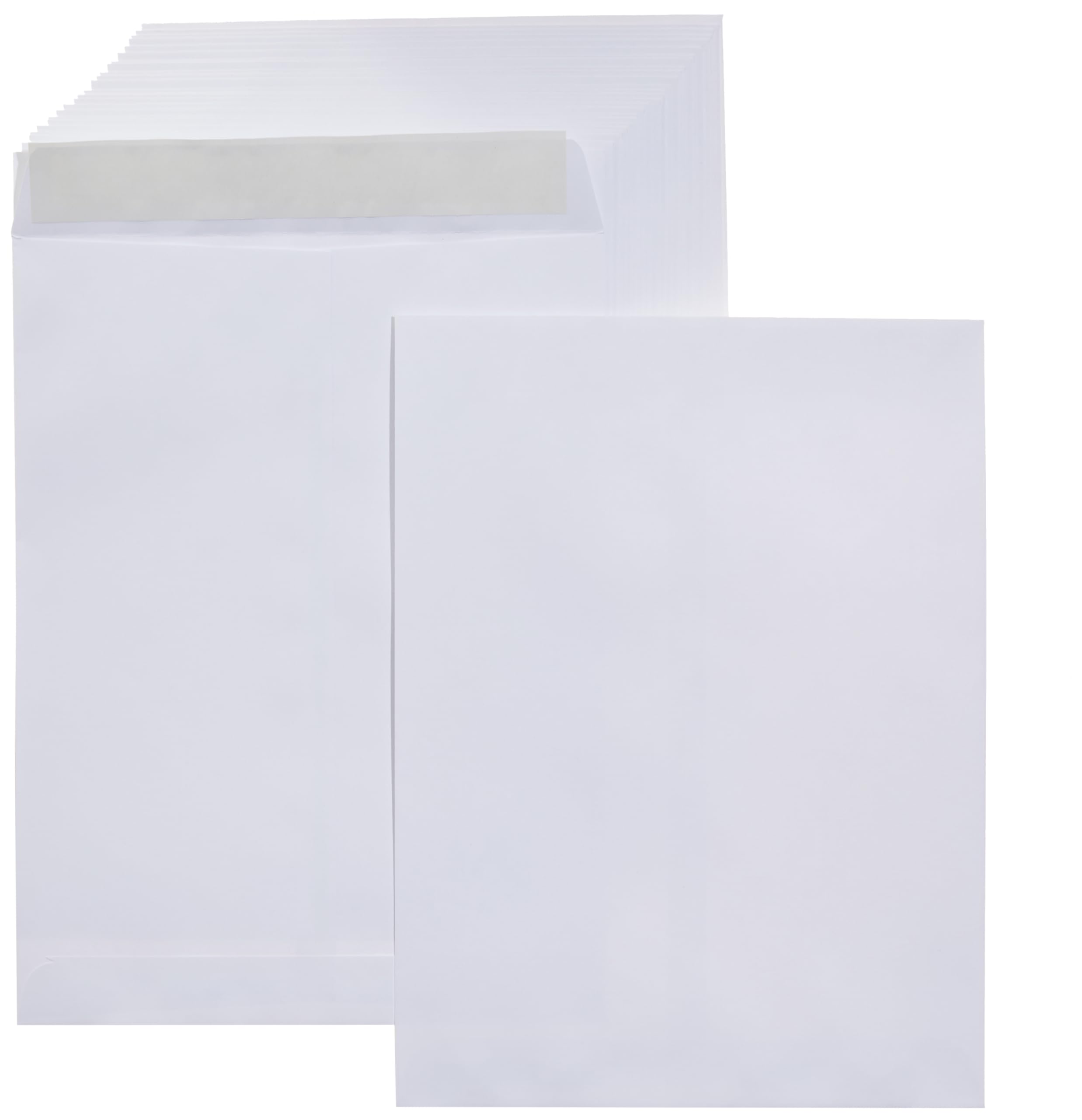 Algopix Similar Product 3 - Amazon Basics Catalog Mailing