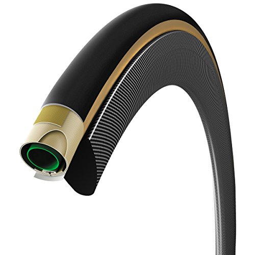 Algopix Similar Product 19 - 