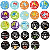 Algopix Similar Product 5 - Baby Milestone Stickers  24Count