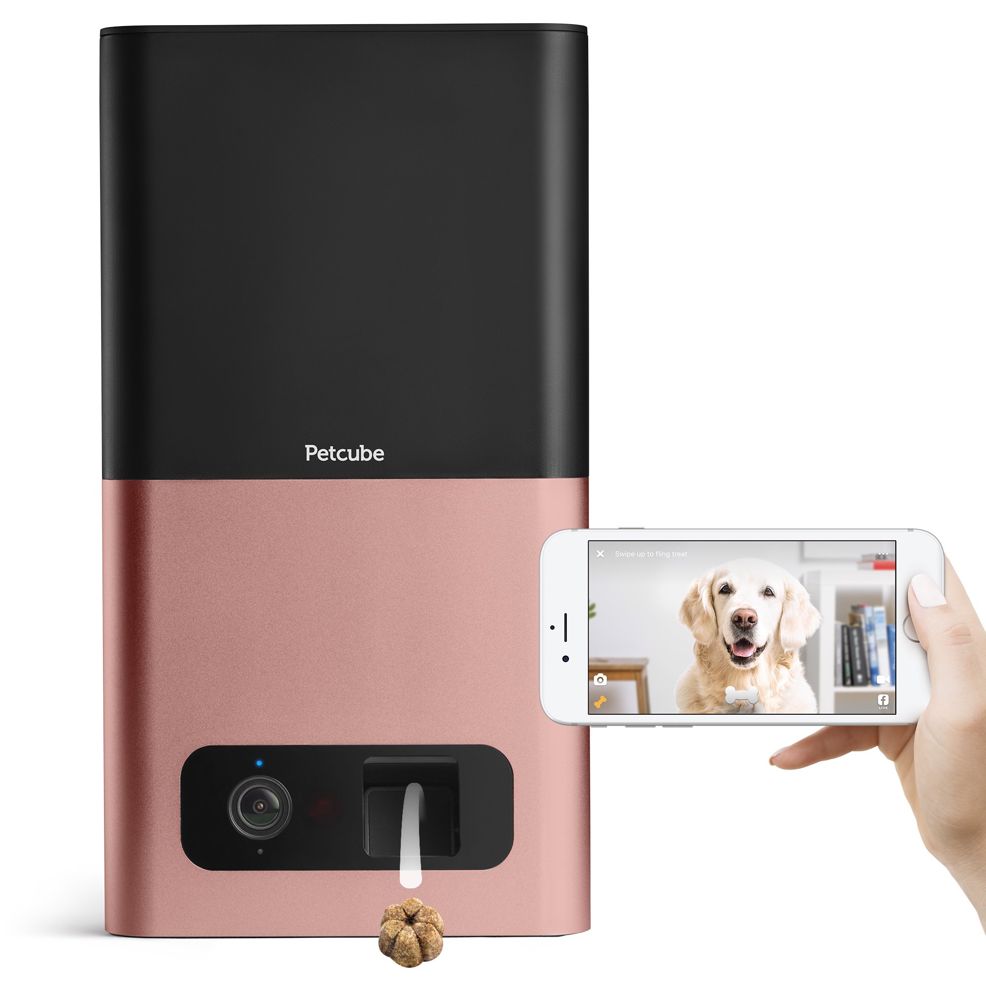 Algopix Similar Product 9 - 2017 Item  Petcube Bites Pet Camera