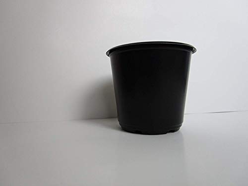 Algopix Similar Product 18 - 4 Diameter Black Plastic Nursery Pots