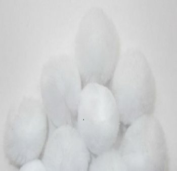 Algopix Similar Product 17 - White 1 1/2" Pom Pom