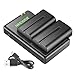 Algopix Similar Product 11 - Neewer NPF550 Battery Charger Set