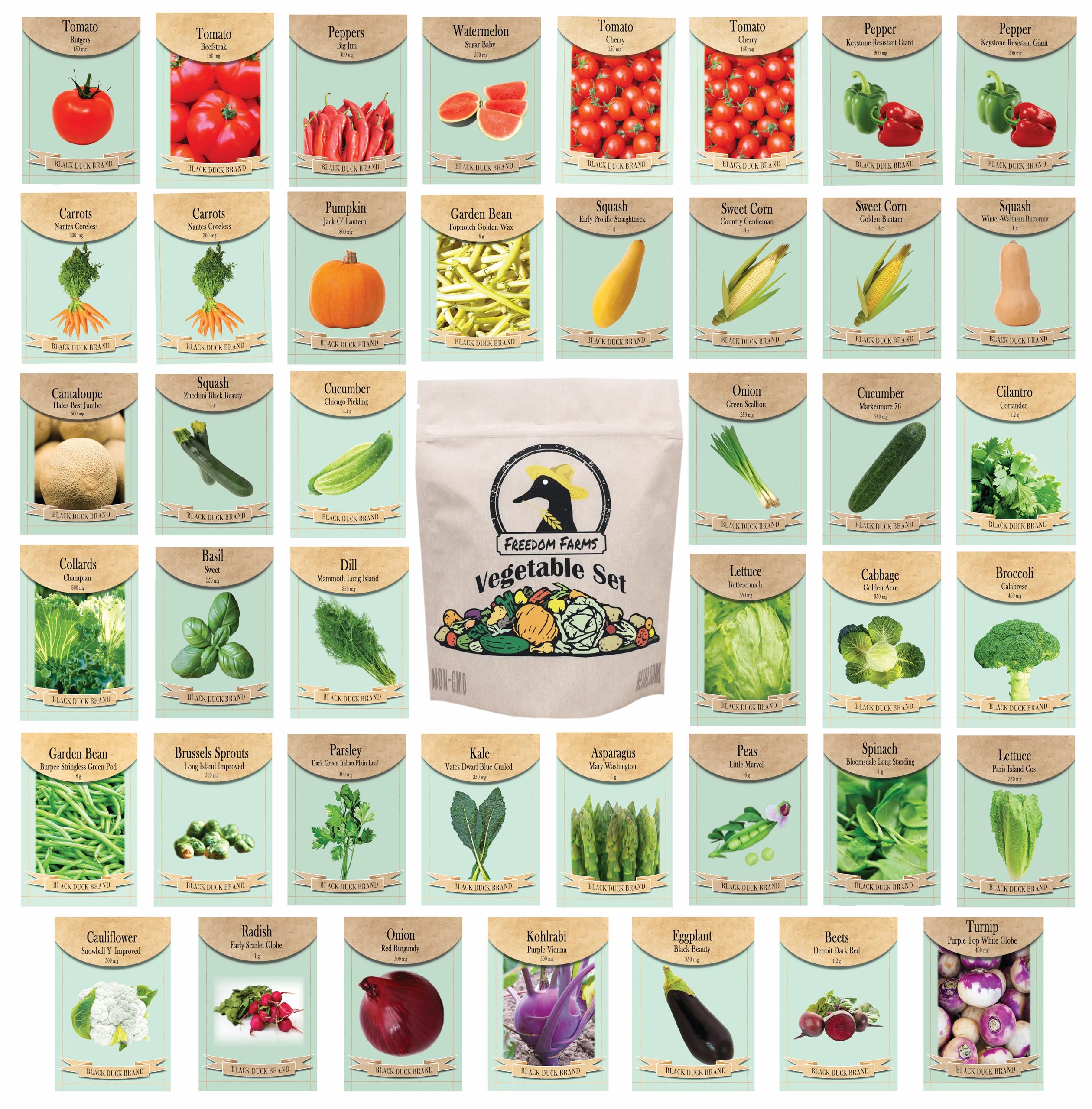 Algopix Similar Product 13 - Set of 43 Assorted Vegetable  Herb